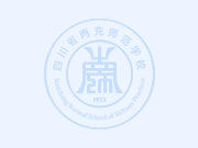 西華師范大學(xué)南充初等教育學(xué)院 09年學(xué)生實(shí)習(xí)就業(yè)情況